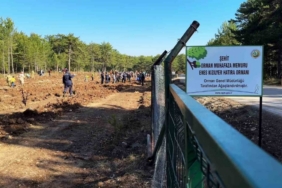 Şehit orman işçisi Enes Kızılyer anısına çeşme açılışı ve fidan dikimi yapıldı