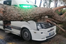 Seyir halindeki minibüsün üstüne ağaç devrildi