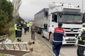 Seyir halindeki tırın açılan dorsesi PTS’ye çarptı