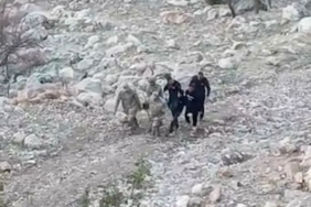 Siirt’te araç şarampole yuvarlandı: 1’i ağır 4 yaralı