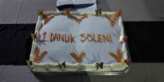 Siirt’te koruma altındaki çocuklarla "Danuk Şöleni"