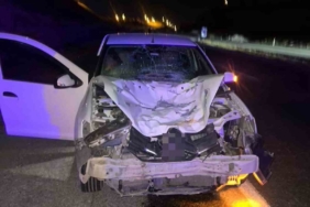 Siirt’te otomobilin çarptığı at telef oldu