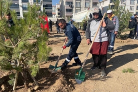 Sincan Belediye Başkanı Ercan: "Sincan’da kişi başına düşen yeşil alan için 15 metrekare civarında bir alandan söz edebiliriz"