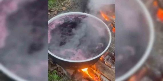 Sinop köylerinde kazanlar kaynıyor: Kışlık pekmez mesaisi