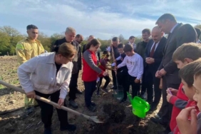 Sinop’ta 3 bin 860 fidan toprakla buluştu