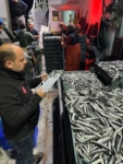 Sinop’ta hamsi denetimleri