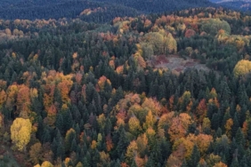 Sinop’ta sonbaharda renk cümbüşü yaşanıyor