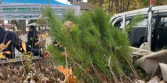 Sinop’ta vatandaşlara fidan dağıtıldı