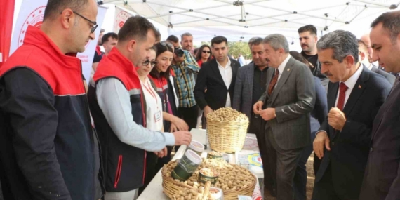 Şırnak’ta 25 bin ton yer fıstığı rekoltesi bekleniyor