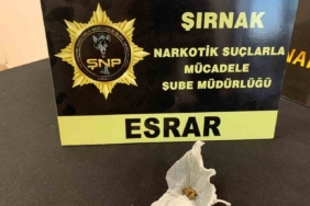 Şırnak’ta 5 milyon liralık kaçak malzeme ele geçirildi