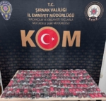 Şırnak’ta 5 milyon liralık kaçak malzeme ele geçirildi