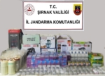 Şırnak’ta Jandarmadan kaçakçılık operasyonu: 55 şüpheli hakkında işlem yapıldı