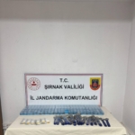 Şırnak’ta Jandarmadan kaçakçılık operasyonu: 55 şüpheli hakkında işlem yapıldı