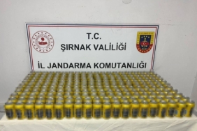 Şırnak’ta jandarmadan kaçakçılık ve uyuşturucu operasyonu
