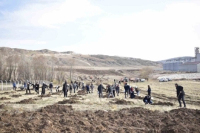 Sivas OSB’de yeşil dönüşüm binlerce fidan toprakla buluşuyor