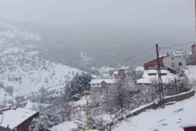 Sivas’ın yüksek kesimlerinde kar yağışı etkili oldu