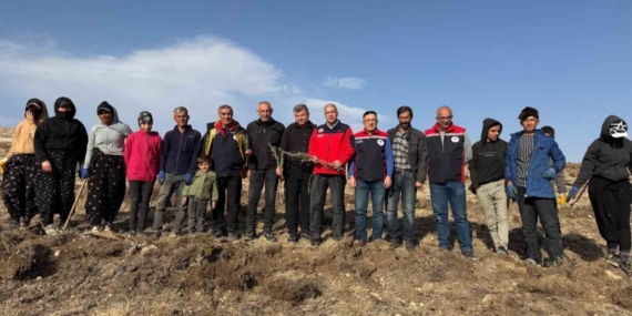 Sivas’ta meralar on binlerce tuz çalısı ile yeşerecek