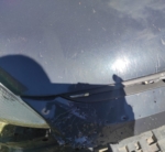 Sokak köpekleri ilçenin kabusu oldu: Otomobile 108 bin TL’lik zarar verdiler