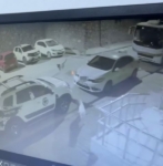 Sokak köpekleri ilçenin kabusu oldu: Otomobile 108 bin TL’lik zarar verdiler