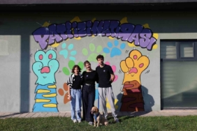 Sokaktan sıcacık yuvaya: ‘Pati İzi’nde 500 can dost yeni hayatına kavuştu