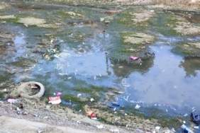 Sulama kanalındaki balıklar telef olmaya devam ediyor