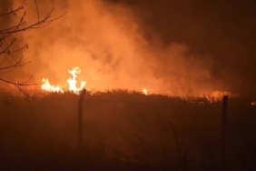 Sülüklü Göl’de kamışlar alev aldı