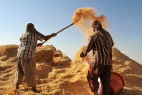 Tarım-GFE yıllık yüzde 34,60 arttı