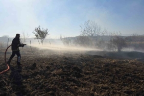 Tarlada çıkan yangın söndürüldü