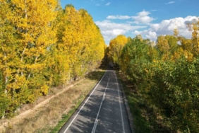 Tokat’ta belediyenin yaprakları temizlemediği parklarda renk cümbüşü oluştu