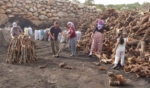 Torosların eteğinde zorlu ’kömür’ mesaisi