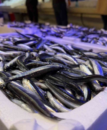 Trabzon’dan gelen taze balıklar Erzincan’da ilgi görüyor