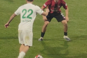 Trendyol 1. Lig: Vanspor FK: 0 - Serikspor: 1