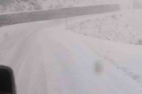 Tunceli’de, kar yağar yağmaz mücadele başladı