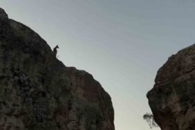 Tunceli’de koruma altındaki dağ keçileri görüntülendi