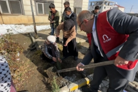 "Türkiye yeşeriyor, Gazze güçleniyor" projesiyle Yüksekova’da fidanlar toprakla buluştu