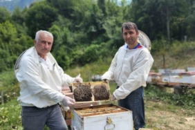 Türkiye’nin AB tescilli 43’üncü ürünü Yenice ıhlamur balı oldu