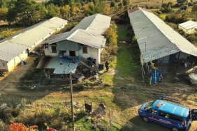 Üç yıldır aranan 29 yıl hapis hükümlüsü firari hayvan çiftliğinde yakalandı