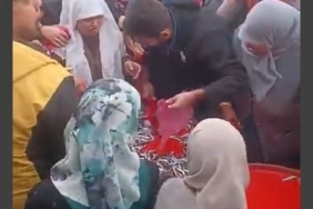 Ücretsiz hamsi dağıtımı yoğun ilgi gördü