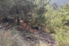 Uçurumdan yuvarlanan motosikletteki 2 kişi yaralandı