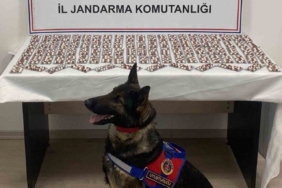 Uyuşturucuyla yakalanan şahıs utuklandı