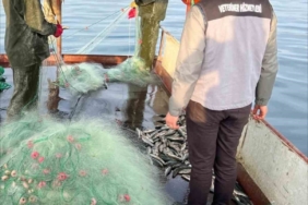 Van Gölü’nde balıkçılık denetimi yapıldı