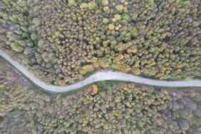 Yalova ormanlarında sonbahar güzelliği