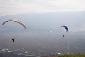 Yanan ormanlar için gökyüzünden paraşütle tohum yağdı