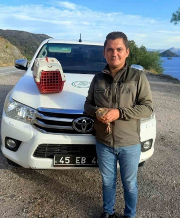 Yasadışı Kınalı Keklik satışına 28 bin TL ceza