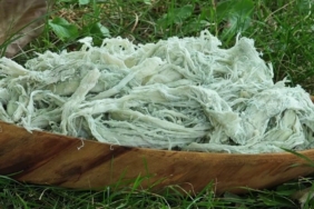 Yayladan sofraya doğal antibiyotik: Erzurum’un göğermiş peyniri