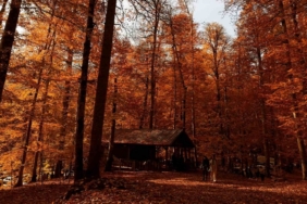 Yedigöller Milli Parkı ziyaretçi akınına uğradı