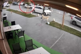 Yolun karşısına geçmek isteyen bisikletliye otomobil çarptı: 1 yaralı