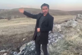 Yolunu şaşıran karaca bozkırın ortasında görüntülendi