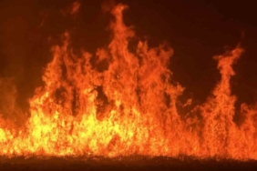 Yüksekova’da kuş cenneti Nehil Sazlığı’ndaki yangın yerleşim yerlerini tehdit ediyor