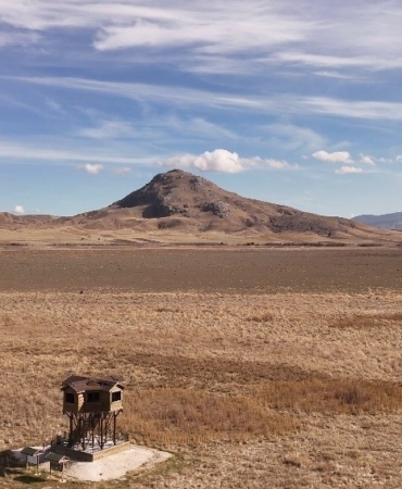 Yüzlerce kuş türüne ev sahipliği yaparken kuraklığa yenik düştü